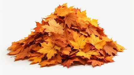Autumn leaves in a neat pile on a white background