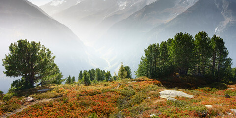 Panorama mit Blick in den Sundergrund im herbstlichen Zillertal
