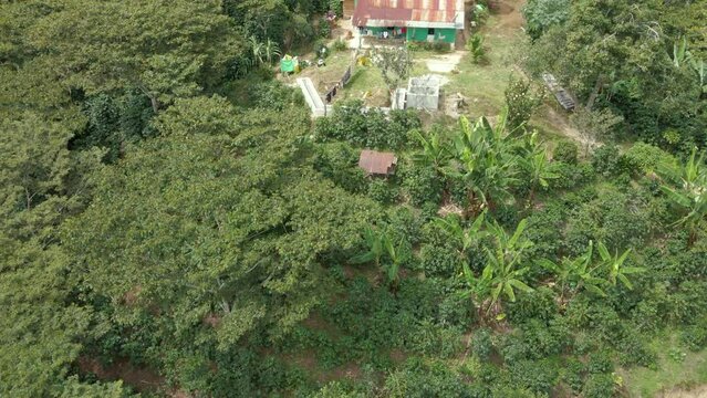 Aerial view over a coffee fermentation tank and water channel that is next to a coffee plantation