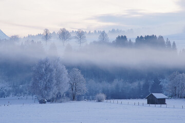 morning in the mountains, foggy landscape in the mountains