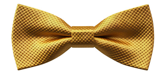 Stylish bow tie cut out