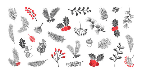 Christmas vector plant, holly winter decor, pine, leaves branches, holiday set isolated on white background. Red and black colors. Vintage holiday nature illustration - obrazy, fototapety, plakaty