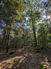 Fototapeta premium New England Fall Landscapes Nature