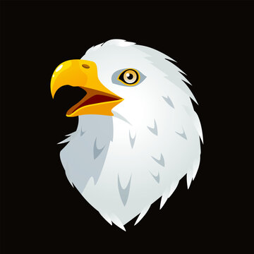 Cartoon eagle head illustration
