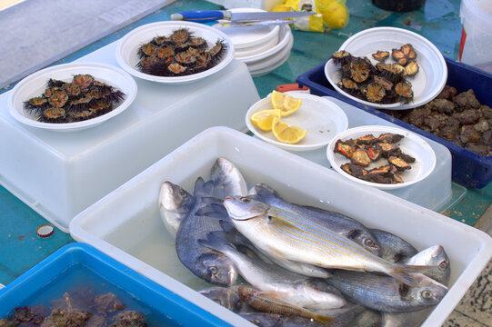 Mercato del pesce nel Sud Europa, frutti di mare sulla bancarella