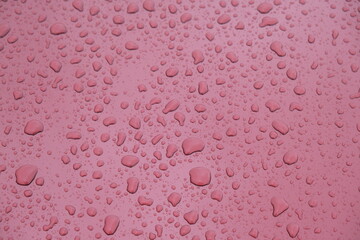 Water drop abstract background wallpaper on claret red color wet surface area. Selective focus...