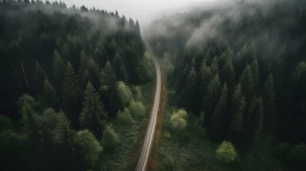 Fotobehang Aerial view of a road through the green forest. Drone photography, top view © Canities