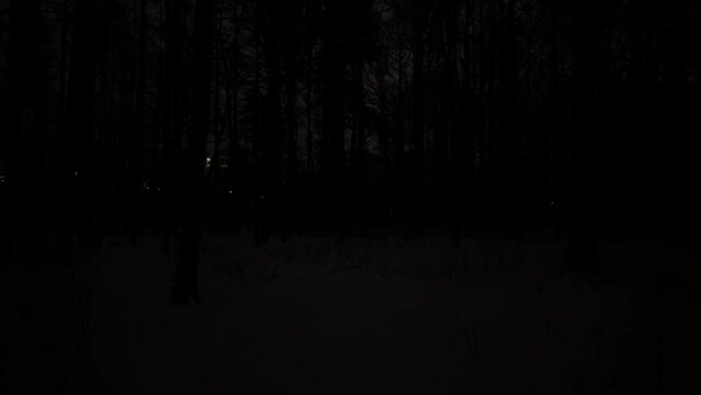 a train with lights in the windows passes through a night snowy park, tree branches covered with snow during a snowfall, black tree trunks, no people
