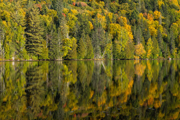 Autumn reflexion in Mont Tremblant National Park, Quebec, Canada