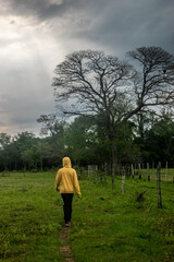 poster de pelicula