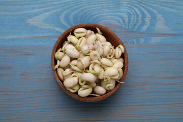 Sprouted kidney beans in bowl on light blue wooden table, top view
