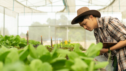 Asian smart farmer holding clipboard while checking vegetable in the organic farm. Agricultural...