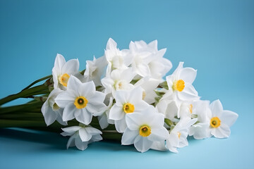 Fototapeta premium White narcissus flowers in a vase with card on blue background, product presentation, product display, banner background