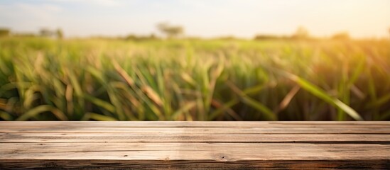 Vivid image of a brown wooden table with a blurry sugarcane plantation background