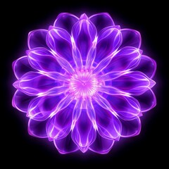 Multicolor neon light flowers isolated on black background