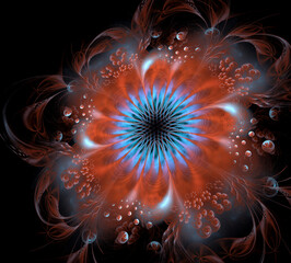3D illustration. Fractal. Abstract image of a blue-red macro flower on a black background. Graphic element, texture for web design.