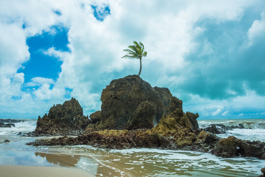 tambaba Tambaba」の写真素材 | 188件の無料イラスト画像 | Adobe Stock