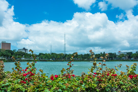 View of Solon de Lucena Park, also known as Lagoa Park - Jo&atilde;o Pessoa, State of Paraiba 
