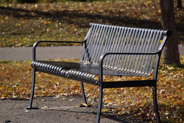 Shiny park bench with autumn leaves