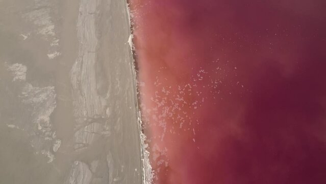 Beautiful Pink Water of the Great Salt Lake Utah