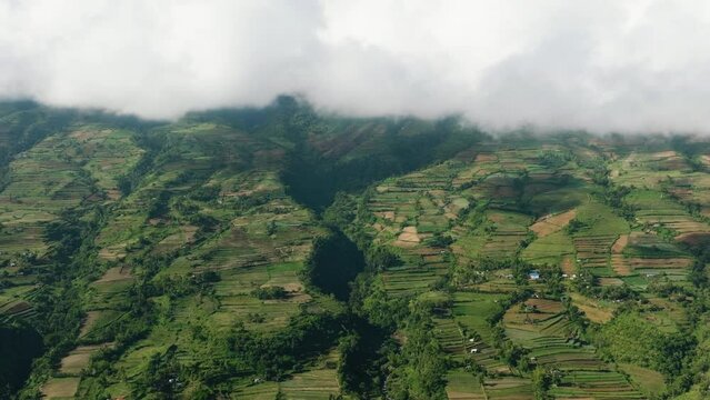 Agriculture and farmland view from above in a mountainous area near the Canlaon volcano. Negros, Philippines