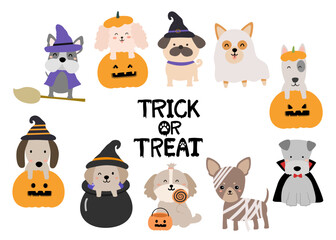 Halloween Cute Puppies, Halloween cute dog set, Poodle,Frenchie,Pug,Corgi, Dachshund Dracula, Witches, Mummy, Pumpkin 