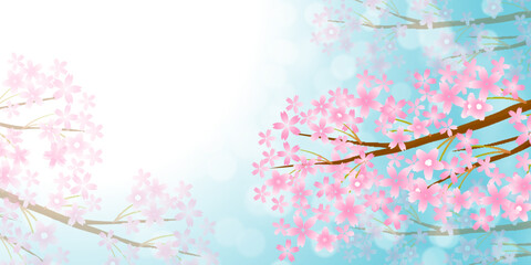 桜　春　水彩　背景