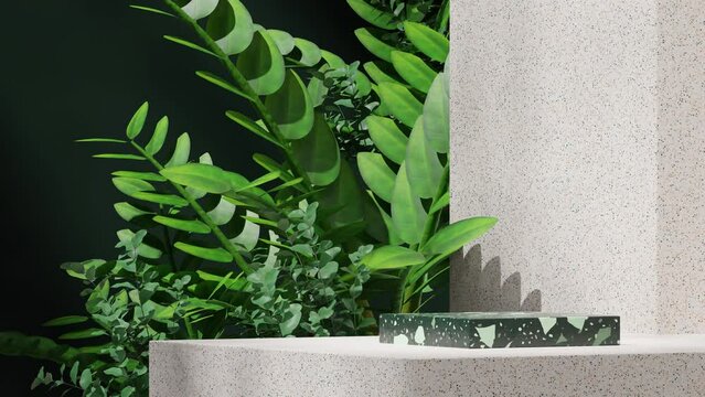 terrazzo texture wall and zamia plants in 3d video rendering of blank mockup green rectangle podium seamless loop shadow animation