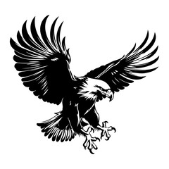Bald flying eagle Illustrations