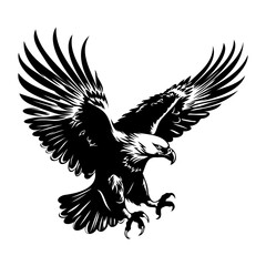 Bald flying eagle Illustrations