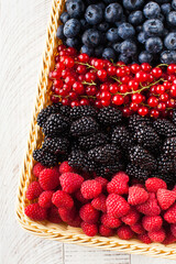 Assorted different types of ripe wild berries in a basket. berries.
