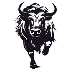 Dangerous black long hair wild yak running towards
