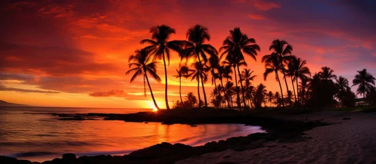 Gartenposter Sonnenuntergang am Strand Gorgeous Hawaiian beach sunset with palm trees