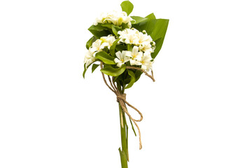 white flowers jasmine local flora arrangement flat lay postcard style 