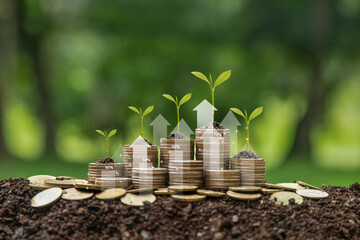 Green business growth or green investment and Finance sustainable development concept. Stack of silver coins the seedlings are growing on top with arrow of growth. Carbon credit, ESG, co2, green tax.
