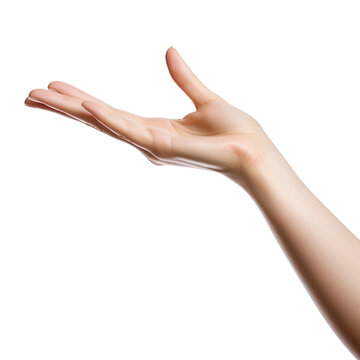 Elegant Woman Hand With Spread Out Fingers To Holding Something Isolated On White Background