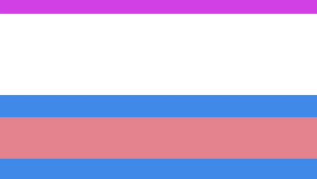 Horizontal stripes of color flash. You can insert a logo or something else into the empty white area.