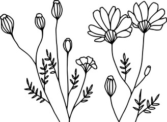 Wildflower blooms and buds line art