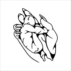 vector illustration of hand holding human concept