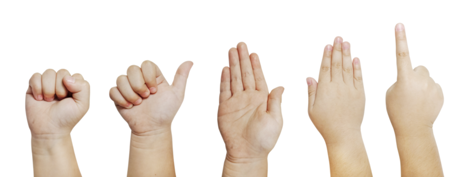 Children's hand set PNG transparent - Powered by Adobe
