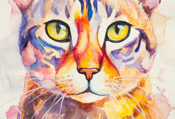 Bengal Cat painted in watercolor on a white background in a realistic manner, colorful, rainbow. Ideal for teaching materials, books and nature-themed designs.