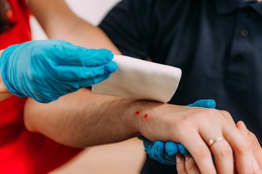 Essential skills handling snake bites in comprehensive First Aid course.