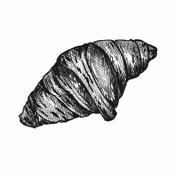 recommend clip art: Hand-drawn vintage illustration for advertising, banner and cafe menu. Croissant, bun and other products in the style of a graphic sketch of a stylish bakery.