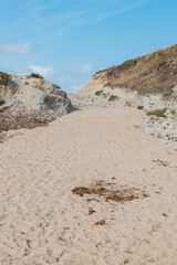 cantabrian beach full of seaweed