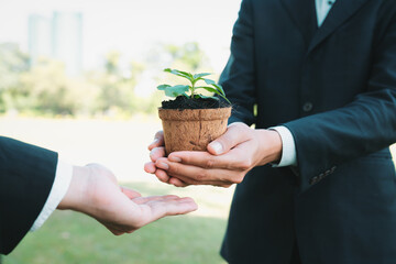 Business people holding plant as concept of eco company committed to corporate social responsible,...
