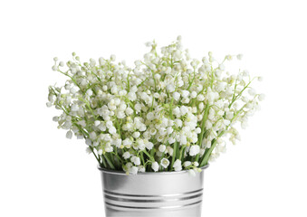 Bucket with beautiful lily of the valley flowers on white background