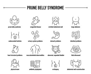 Prune Belly Syndrome symptoms, diagnostic and treatment vector icons. Line editable medical icons.