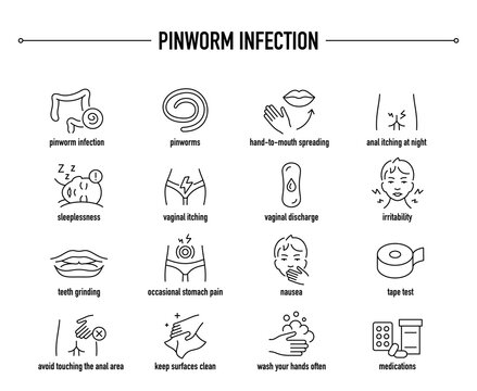 Pinworm Infection symptoms, diagnostic and treatment vector icons. Line editable medical icons.