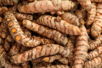 Many raw turmeric rhizomes as background, top view