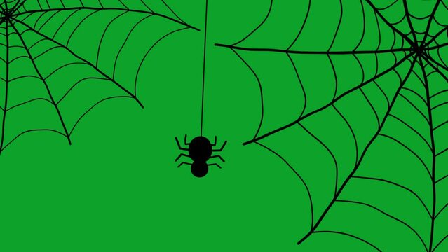 Halloween spider animation cartoon on green screen.